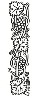 Weinrebe