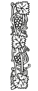 Weinrebe